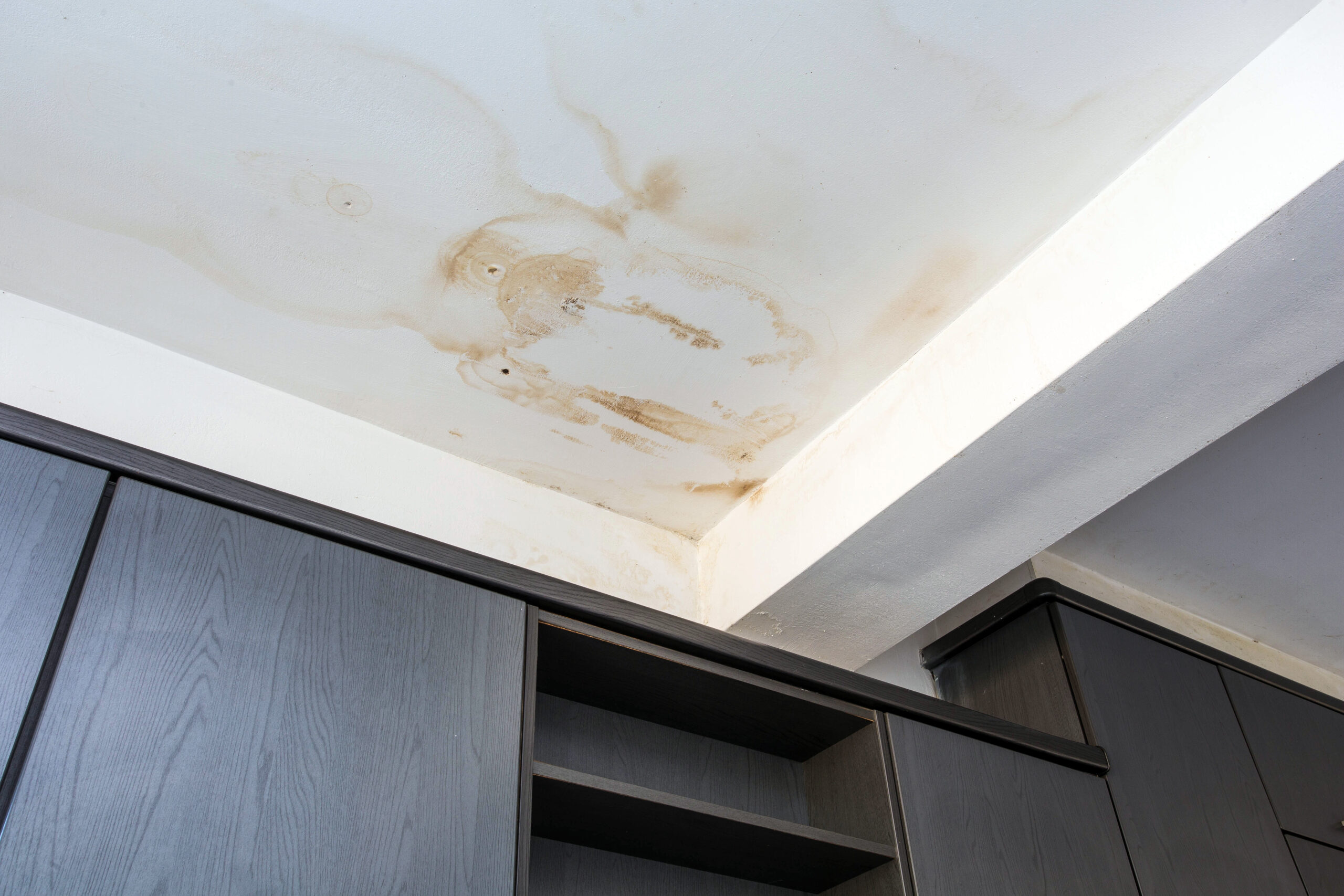 Ceiling Damage repair